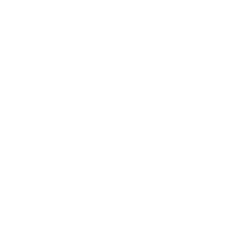Brizze